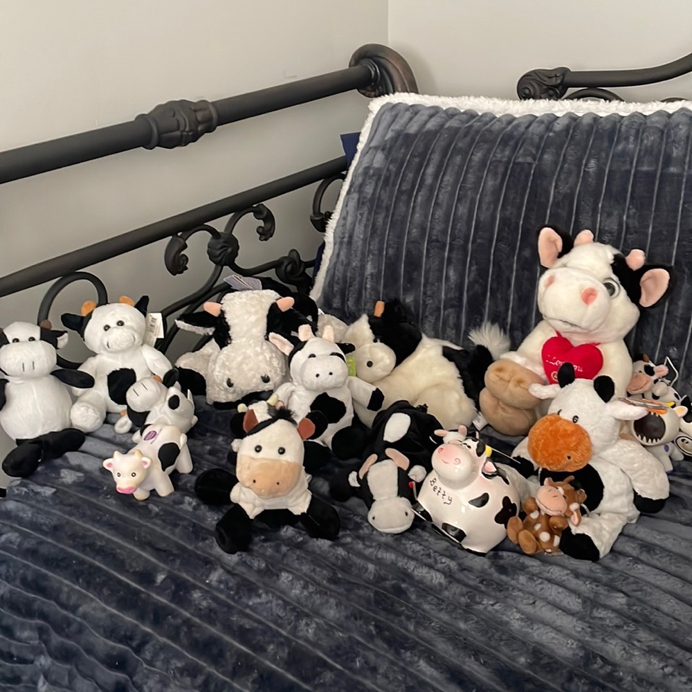 Cute Cow Collection